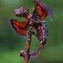 cool-lizard-gecko-wings-tail-dragon.jpg